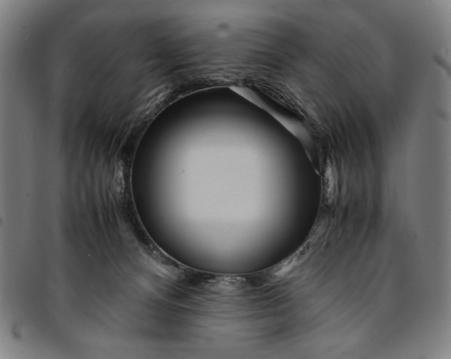 X0000094970128200712131503