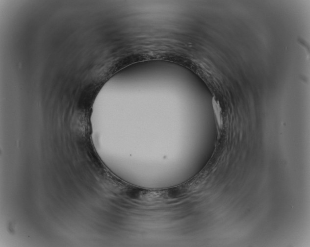 X0000094970129200712131503