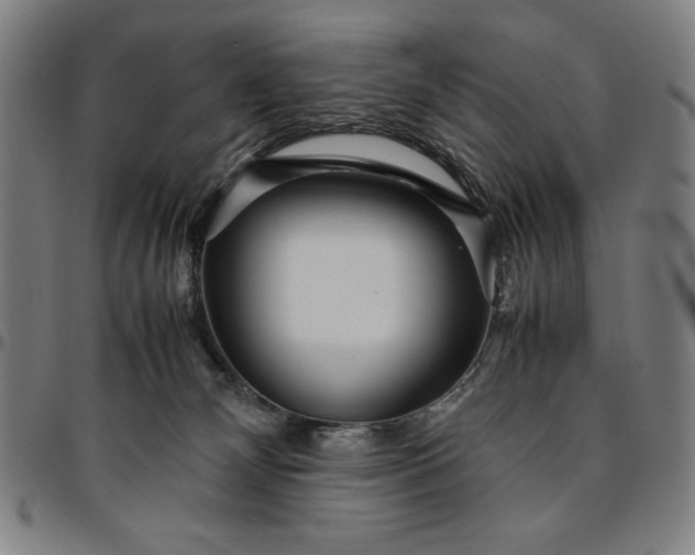 X0000094970132200712131503