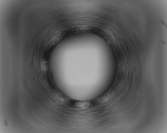 X0000094970135200712131503