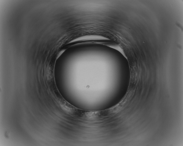 X0000094970136200712131503