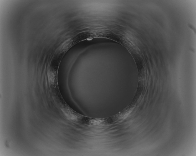 X0000094970139200712131503