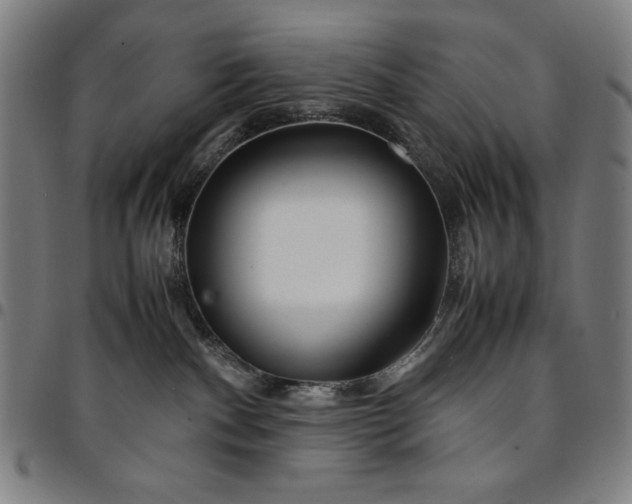 X0000094970140200712131503