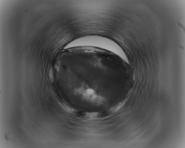 X0000094970143200712131503