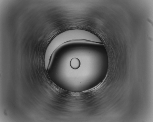 X0000094970144200712131503