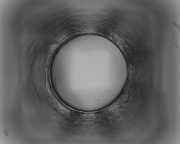 X0000094970145200712131502