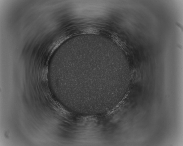 X0000094970146200712131502