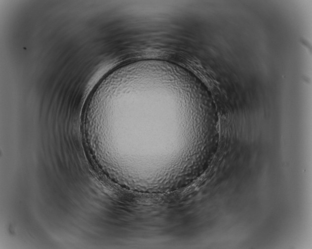 X0000094970147200712131502