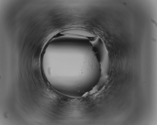 X0000094970148200712131502