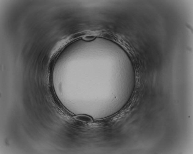 X0000094970149200712131502