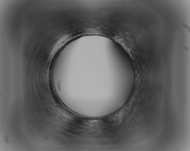 X0000094970151200712131503