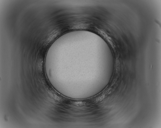 X0000094970153200712131503