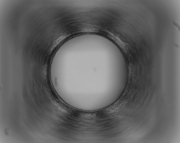 X0000094970155200712131503