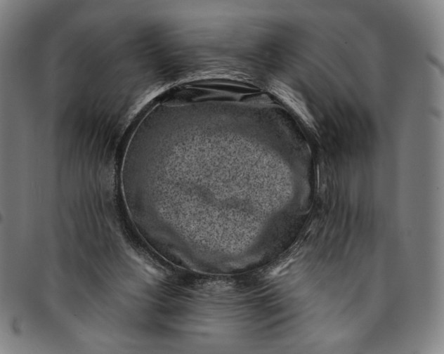 X0000094970156200712131503