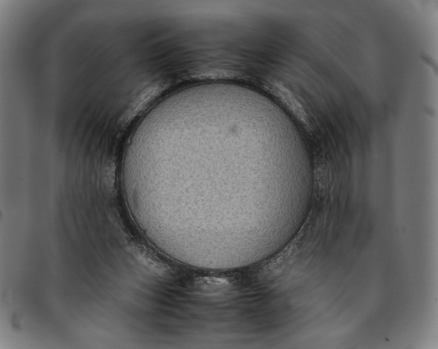 X0000094970159200712131503