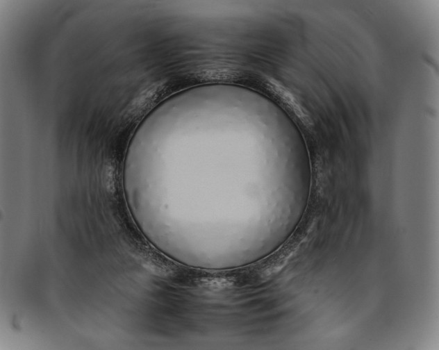 X0000094970161200712131503