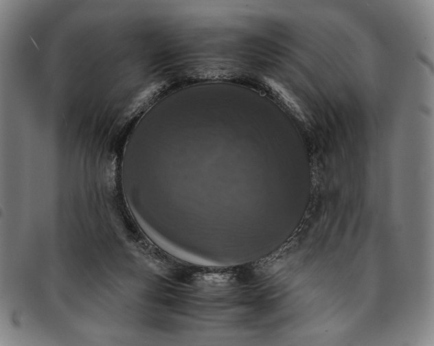 X0000094970163200712131503