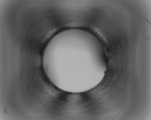 X0000094970164200712131503