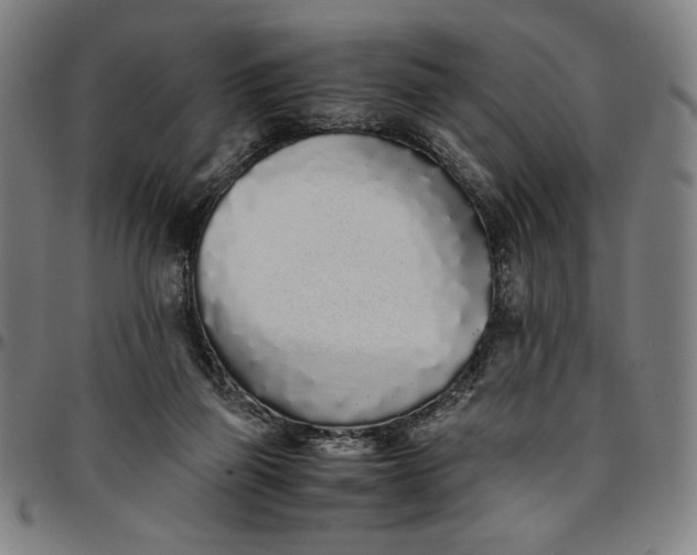 X0000094970165200712131503