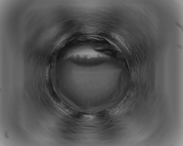 X0000094970167200712131503