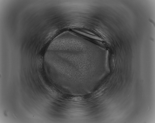 X0000094970168200712131503