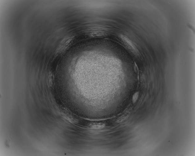 X0000094970169200712131503