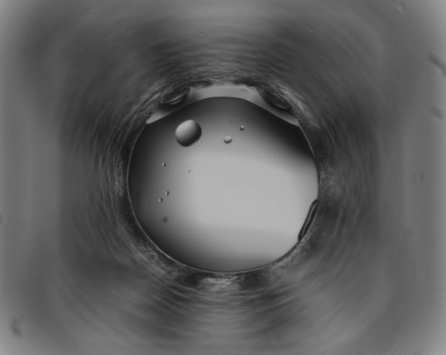 X0000094970170200712131503