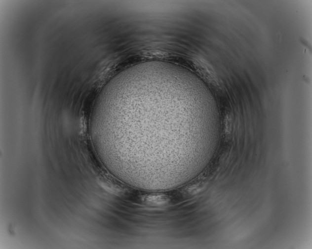 X0000094970173200712131503