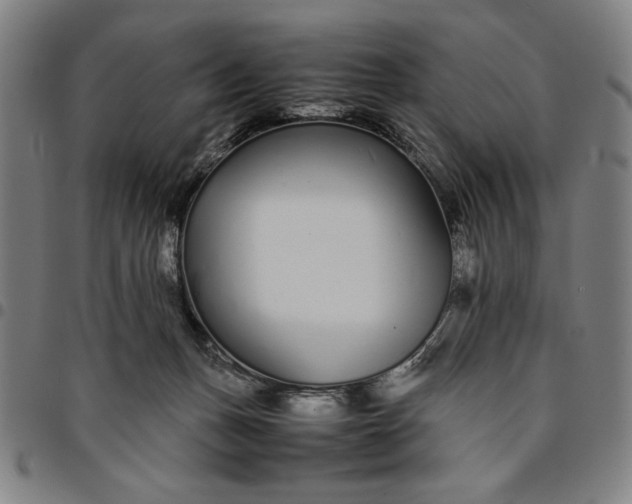 X0000094970175200712131503