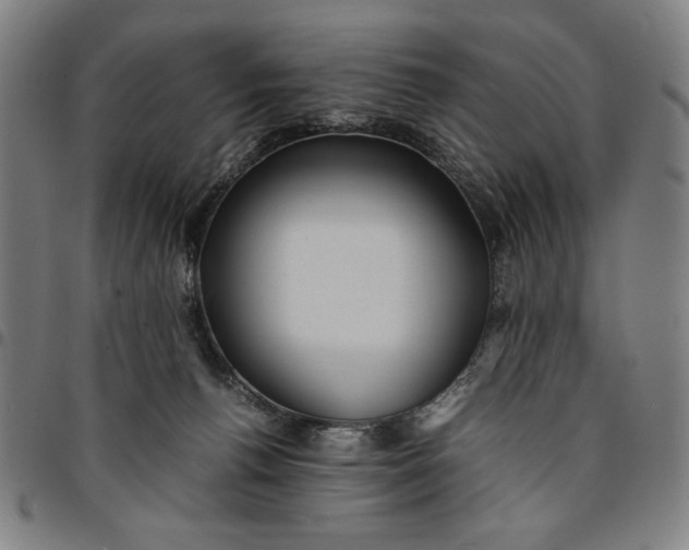 X0000094970176200712131503