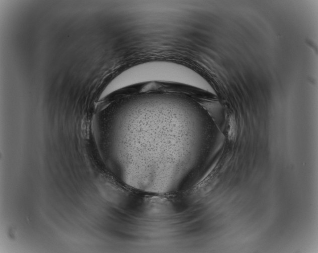 X0000094970180200712131503