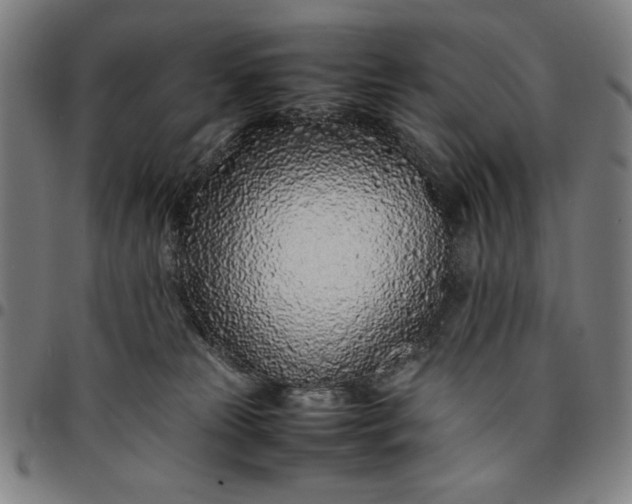 X0000094970181200712131503