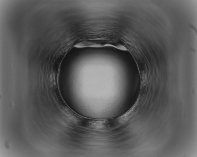 X0000094970182200712131503