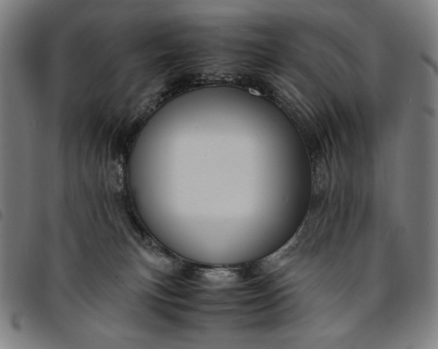 X0000094970183200712131503