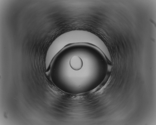 X0000094970186200712131503