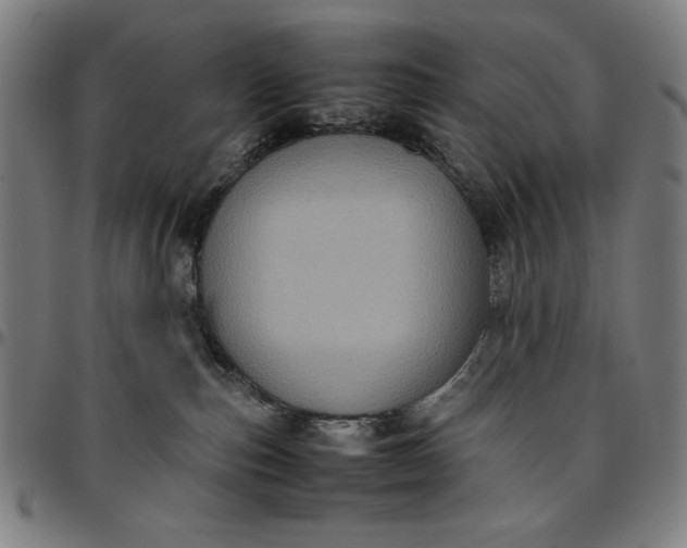 X0000094970187200712131503