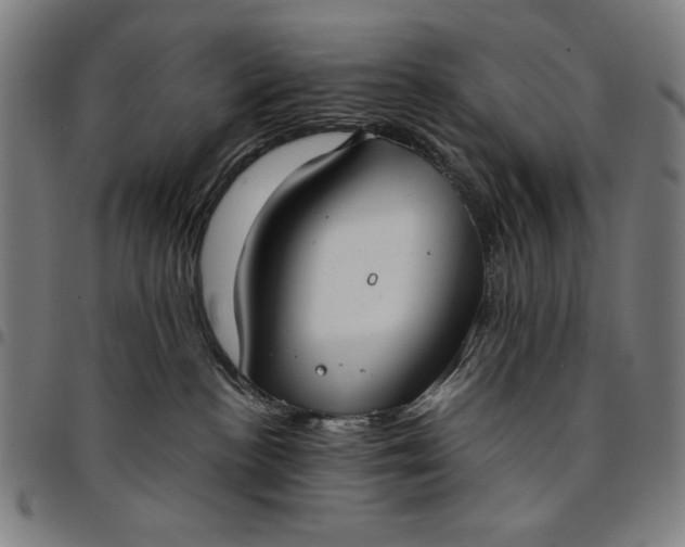 X0000094970188200712131503