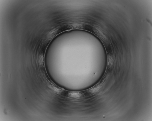 X0000094970189200712131503