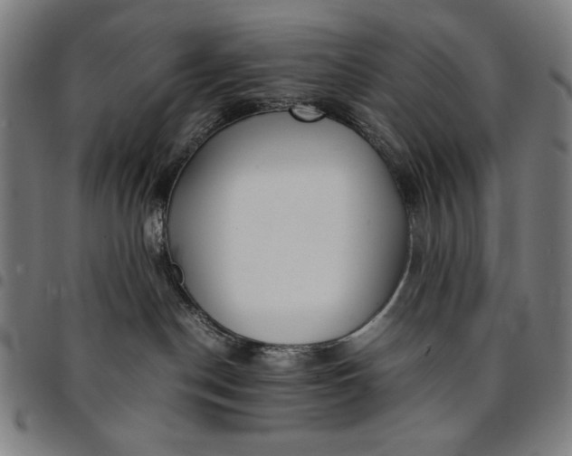 X0000094970190200712131503