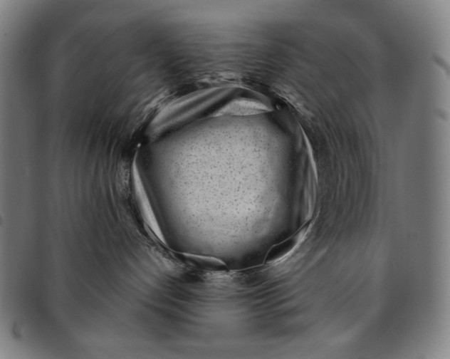 X0000094970192200712131503