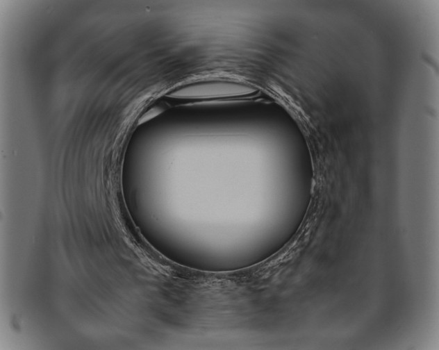 X0000094970193200712131502