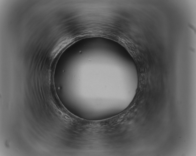 X0000094970194200712131502