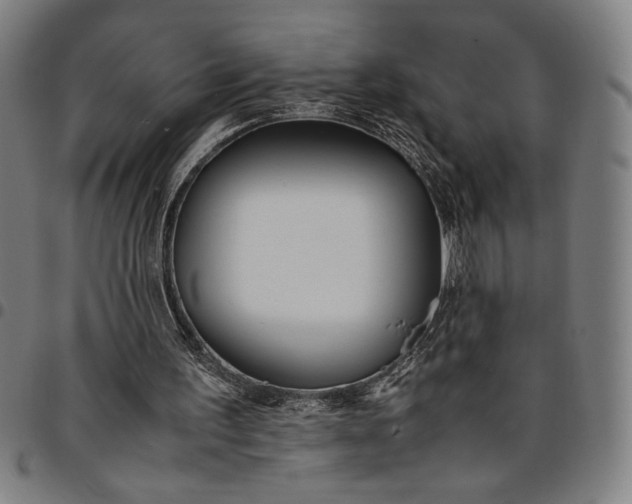 X0000094970195200712131502