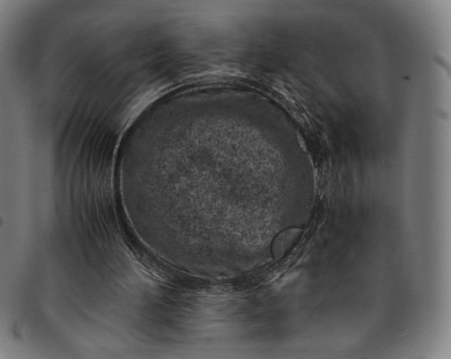 X0000094970196200712131502