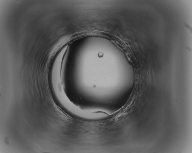 X0000094970197200712131502