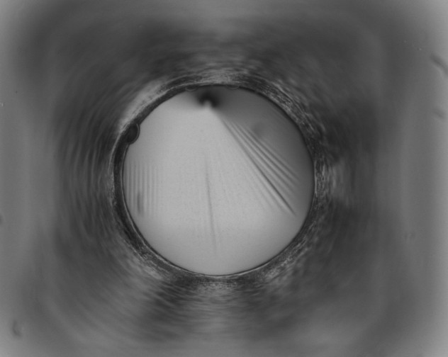 X0000094970198200712131502