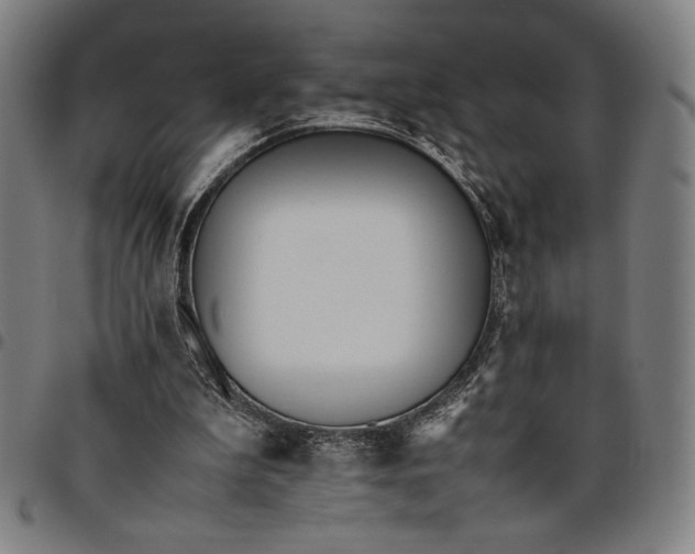 X0000094970199200712131502