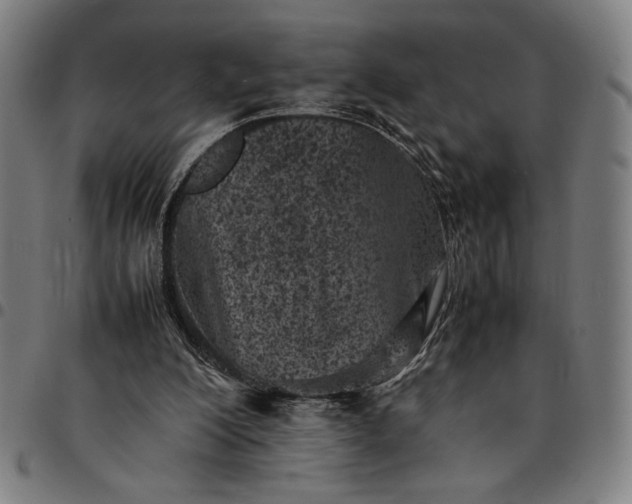 X0000094970200200712131502