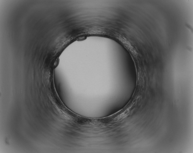 X0000094970201200712131502