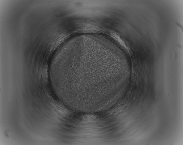 X0000094970202200712131502